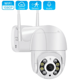 Outdoor WIFI Camera (Option: EU)