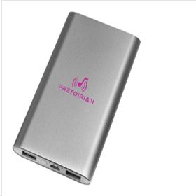 Portable Power Bank - 13 Pack (Silver: Plum)